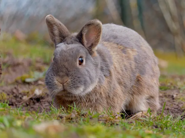 Foto: Eigenes Bild TB