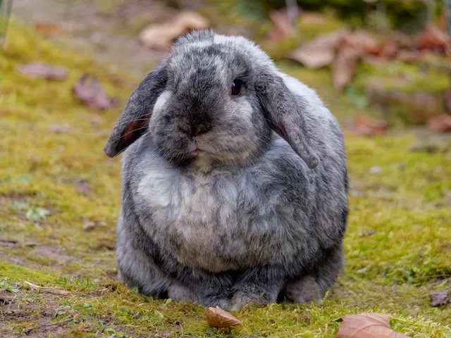 Foto: Eigenes Bild TB