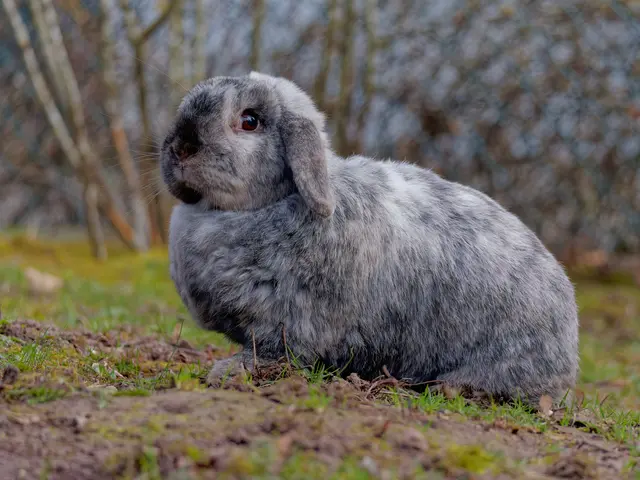 Foto: Eigenes Bild TB