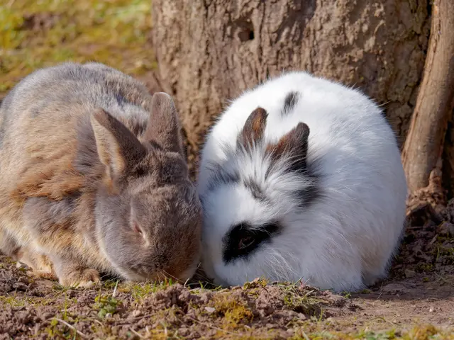 Foto: Eigenes Bild TB