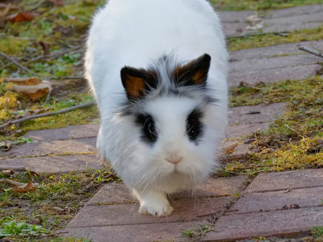 Foto: Eigenes Bild TB