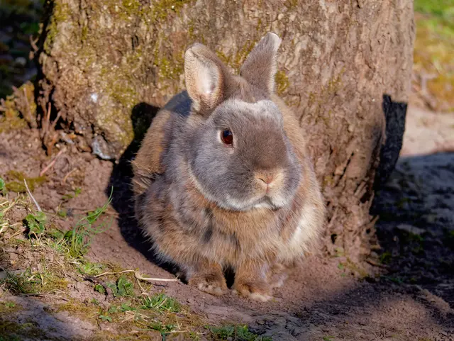 Foto: Eigenes Bild TB