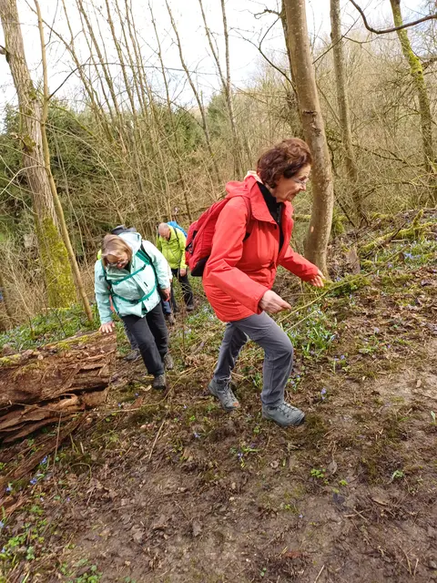 durch den Kaywald | Foto: E. Rosendorf