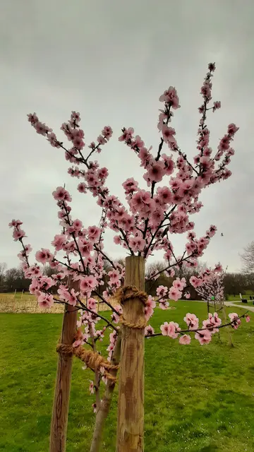 Foto: Annalies Walter