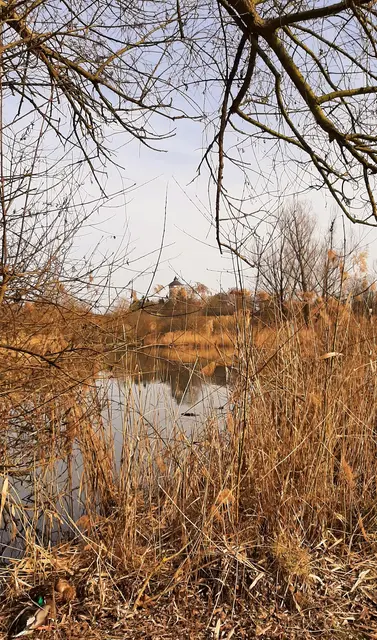 Foto: Annalies Walter