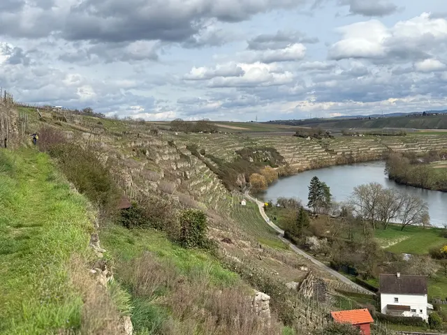 Blick auf das neckartal | Foto: E. Rosendorf