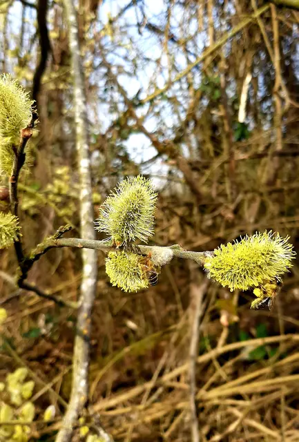 Foto: Annalies Walter