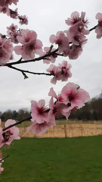 Foto: Annalies Walter