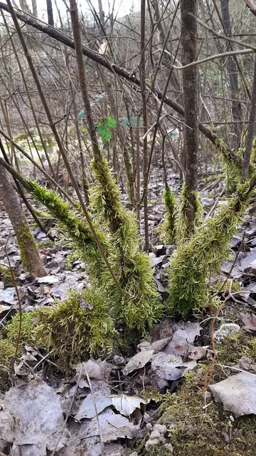 Foto: Annalies Walter