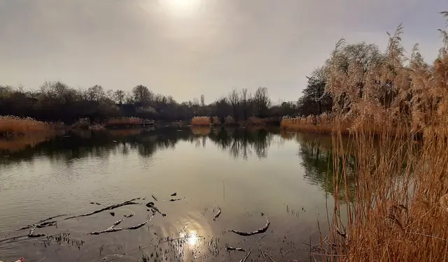 Foto: Annalies Walter