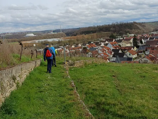 entlang der Weinberge | Foto: E. Rosendorf