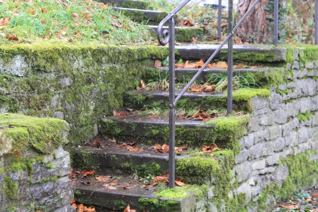 Schwäbisch Hall | Foto: Ralf Röser