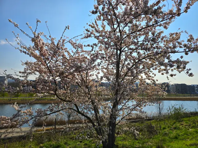 Foto: Heidrun Rosenberger
