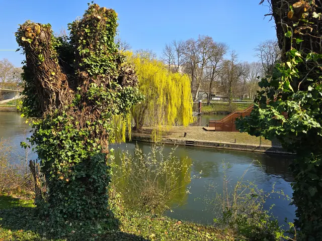 Foto: Heidrun Rosenberger