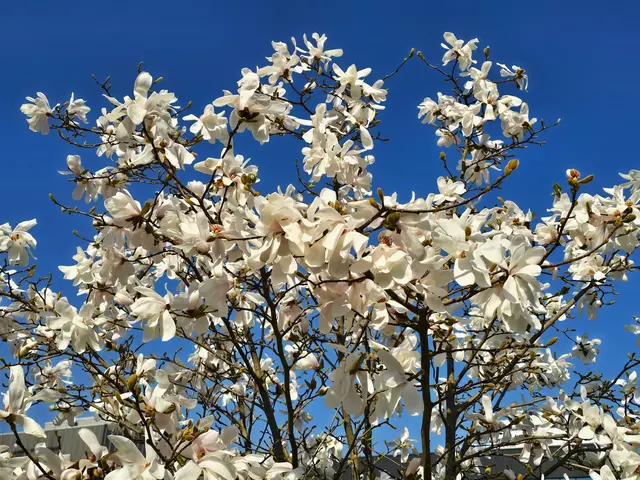 Foto: Heidrun Rosenberger