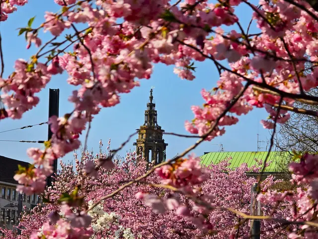 Foto: Heidrun Rosenberger