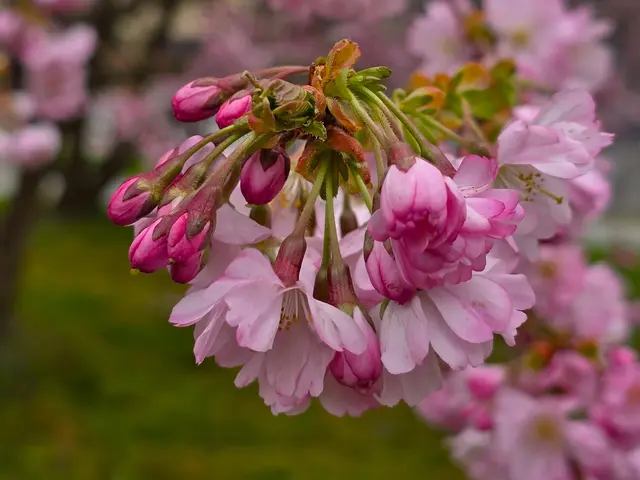 Foto: Heidrun Rosenberger