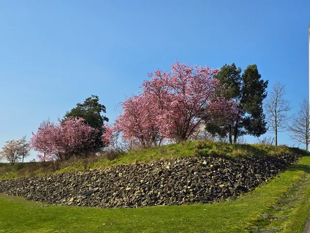 Foto: Heidrun Rosenberger
