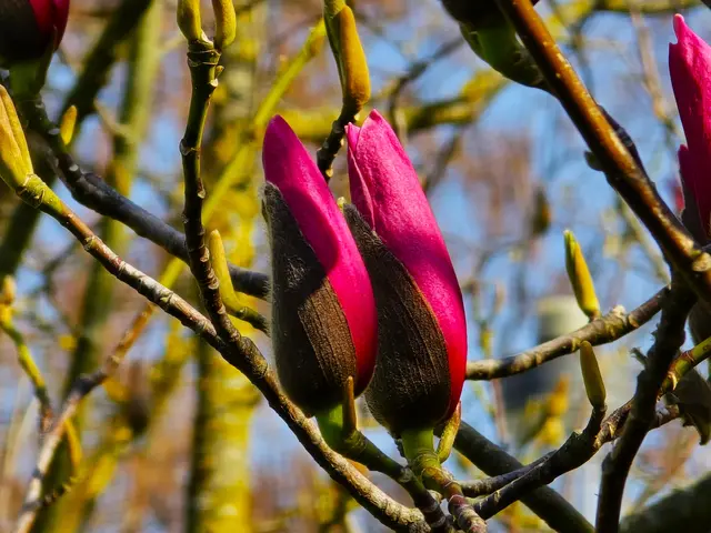 Foto: Heidrun Rosenberger