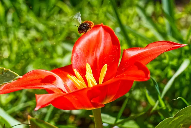 Etwas Verlust ist immer 😉 | Foto: WKY