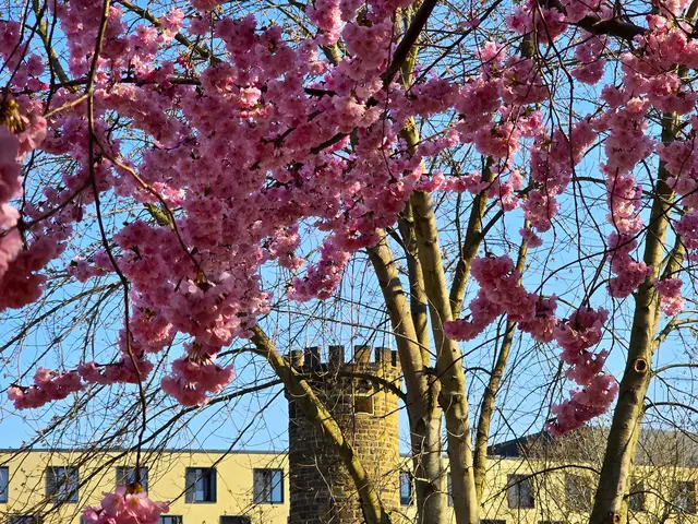 Foto: Heidrun Rosenberger