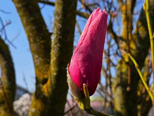 Foto: Heidrun Rosenberger