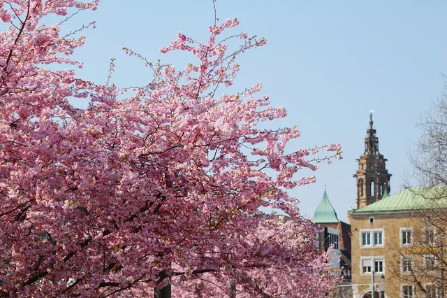 Foto: Heidrun Rosenberger