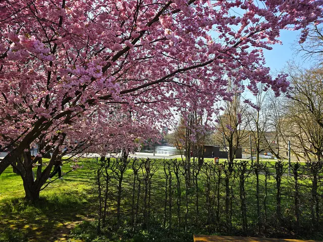 Foto: Heidrun Rosenberger