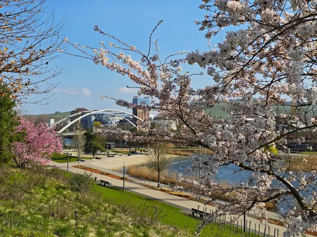 Foto: Heidrun Rosenberger