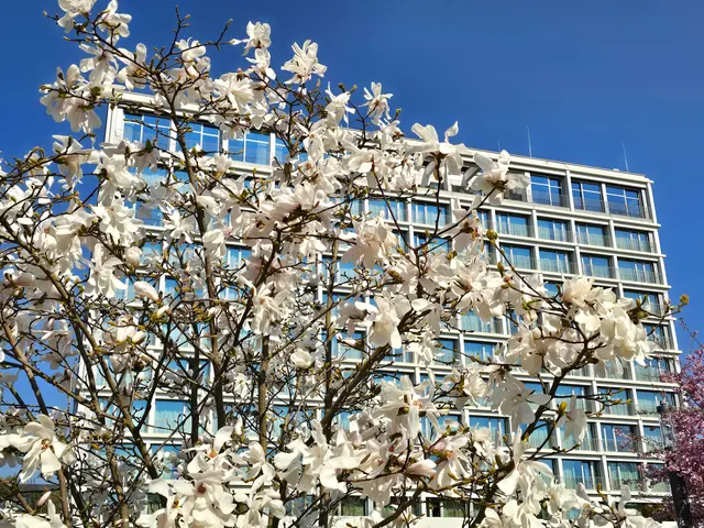 Foto: Heidrun Rosenberger