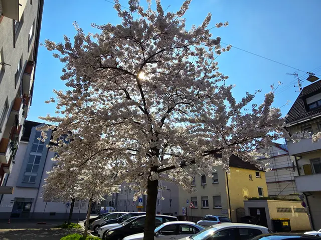 Foto: Heidrun Rosenberger