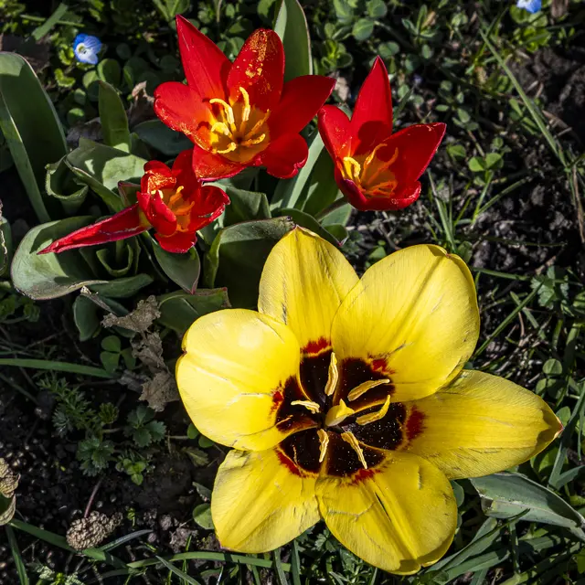 gesehen in Niederhofen | Foto: ehw