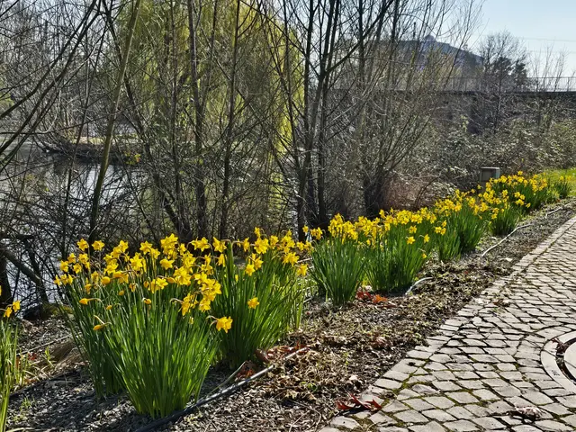 Foto: Heidrun Rosenberger
