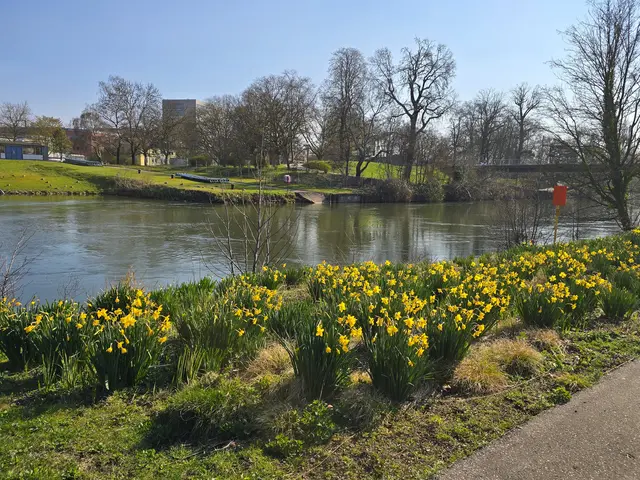 Foto: Heidrun Rosenberger