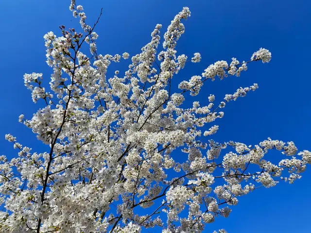 Foto: Heidrun Rosenberger