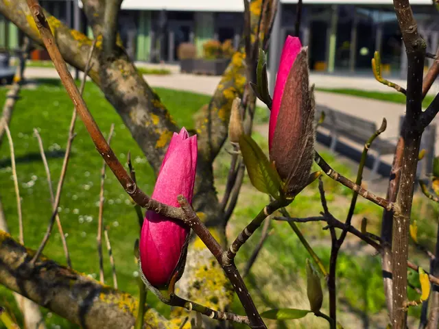Foto: Heidrun Rosenberger