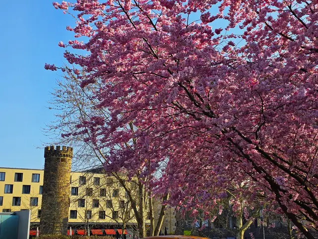 Foto: Heidrun Rosenberger