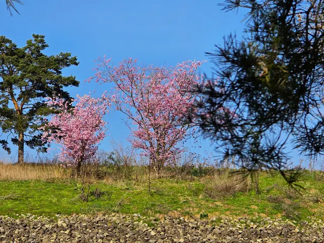 Foto: Heidrun Rosenberger