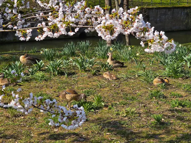 Foto: Heidrun Rosenberger