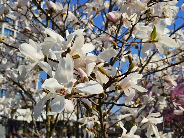 Foto: Heidrun Rosenberger