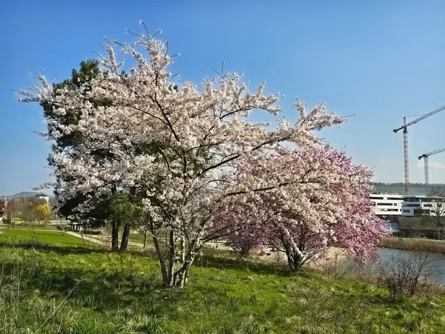 Foto: Heidrun Rosenberger