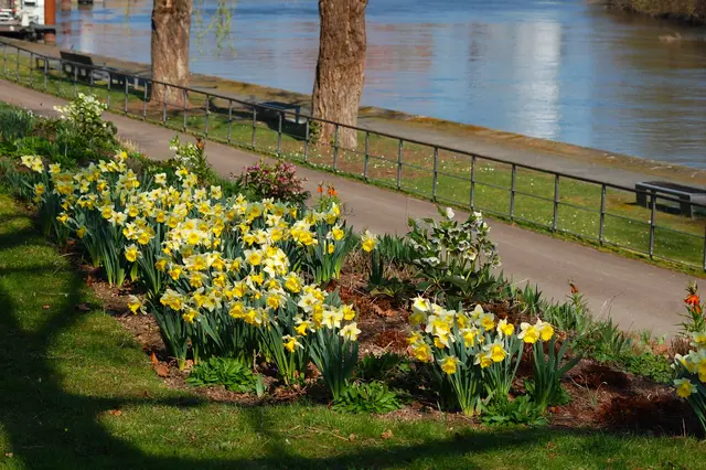 Foto: Heidrun Rosenberger