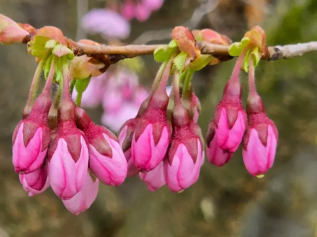 Foto: Heidrun Rosenberger