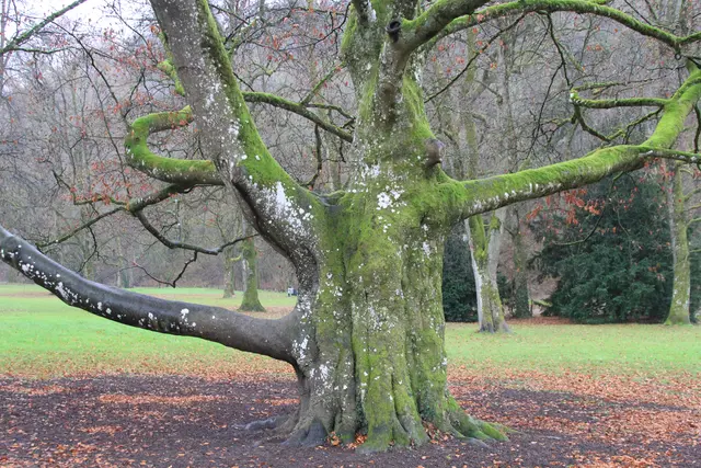 Schwäbisch Hall | Foto: Ralf Röser