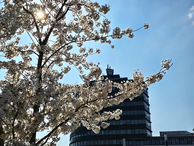 Foto: Heidrun Rosenberger