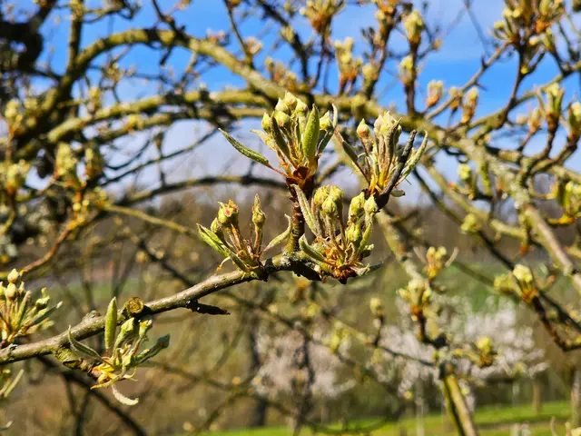 Foto: Heidrun Rosenberger