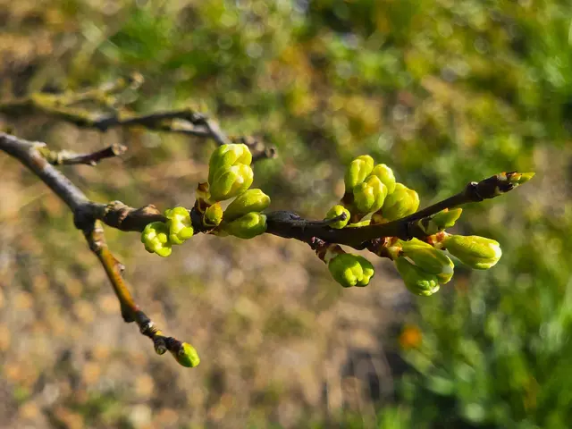 Foto: Heidrun Rosenberger