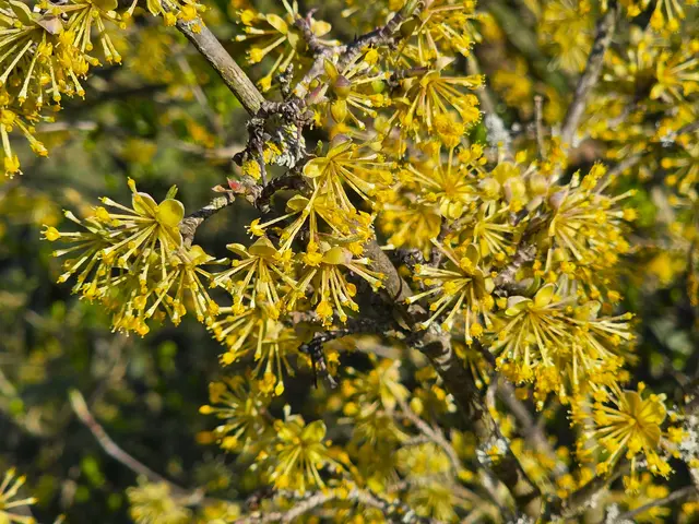 Foto: Heidrun Rosenberger