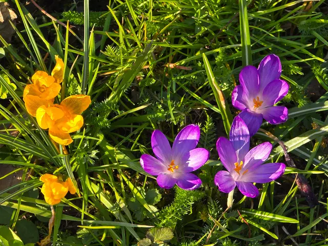 Foto: Heidrun Rosenberger