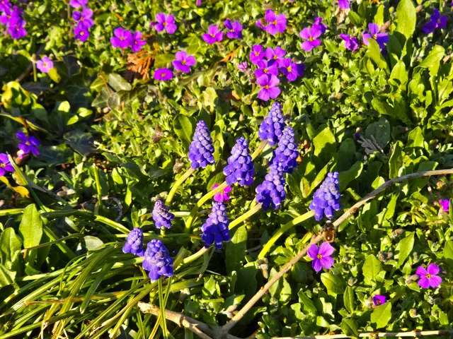 Foto: Heidrun Rosenberger